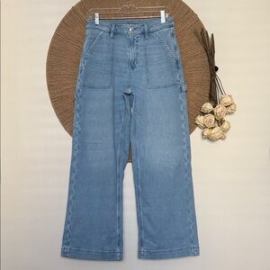 American Eagle Outfitters Light Blue Flare Jeans